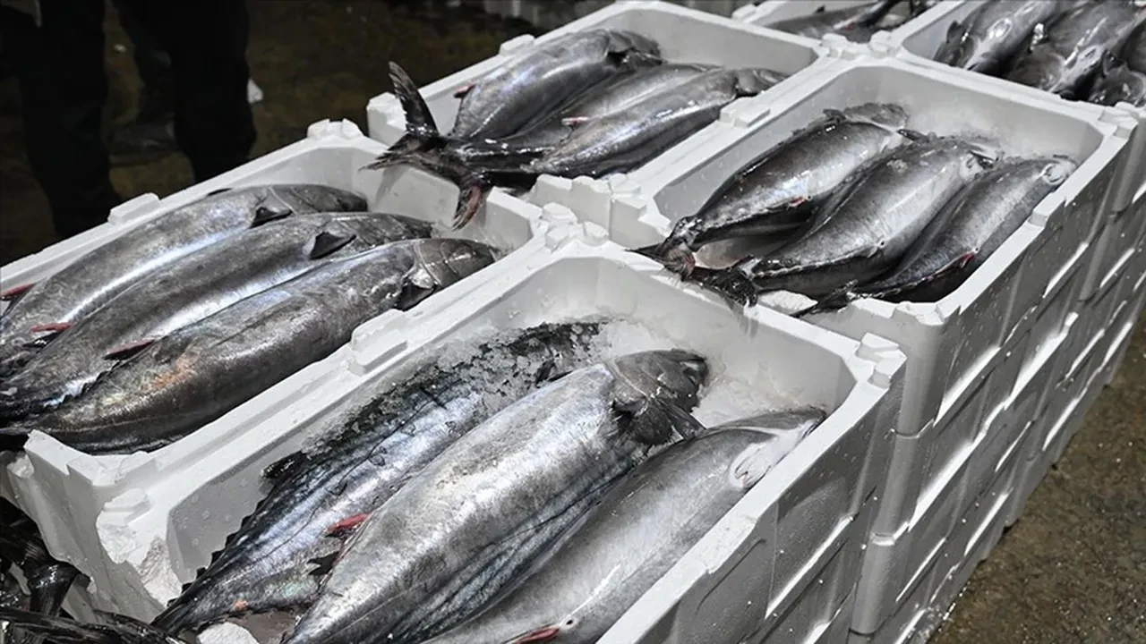 40 yıl sonra İstanbul'a döndü! Fiyatı 'dip' yaptı ama hala çok pahalı 