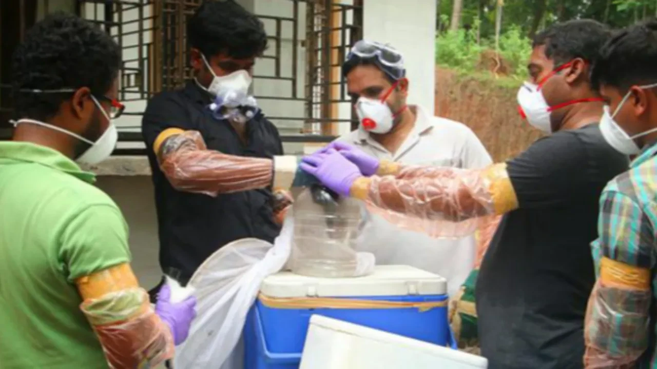 Nipah virüs nedir nasıl bulaşır? Yarasadan bir virüs daha yayılıyor