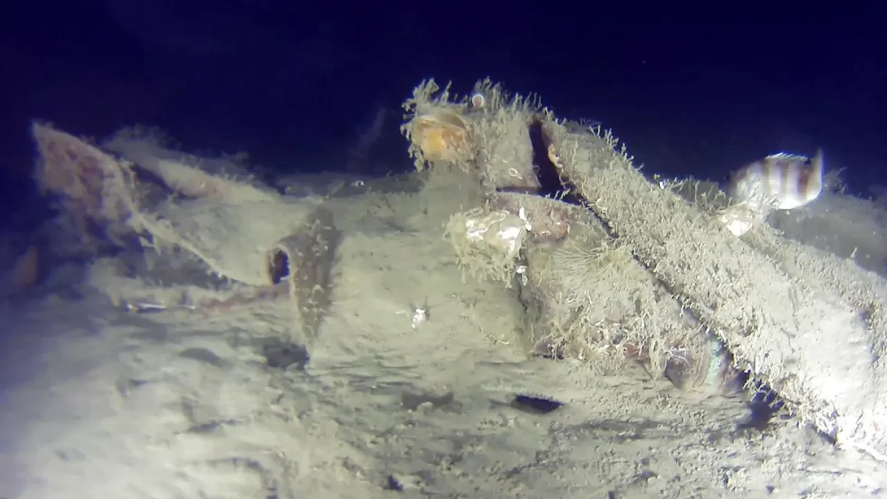 Yarım asırdır kayıptı! 42 kişinin öldüğü THY uçağının yeni parçalarına ulaşıldı