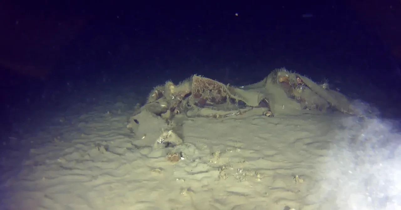 Yarım asırdır kayıptı! 42 kişinin öldüğü THY uçağının yeni parçalarına ulaşıldı