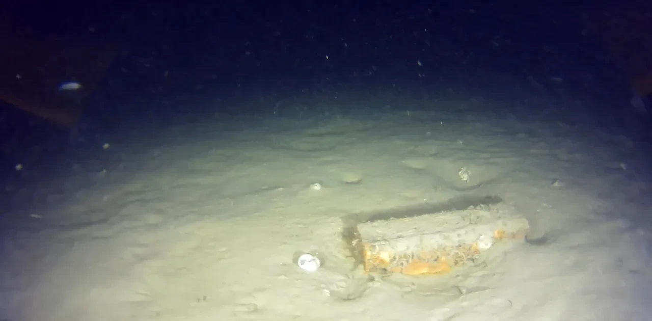 Yarım asırdır kayıptı! 42 kişinin öldüğü THY uçağının yeni parçalarına ulaşıldı