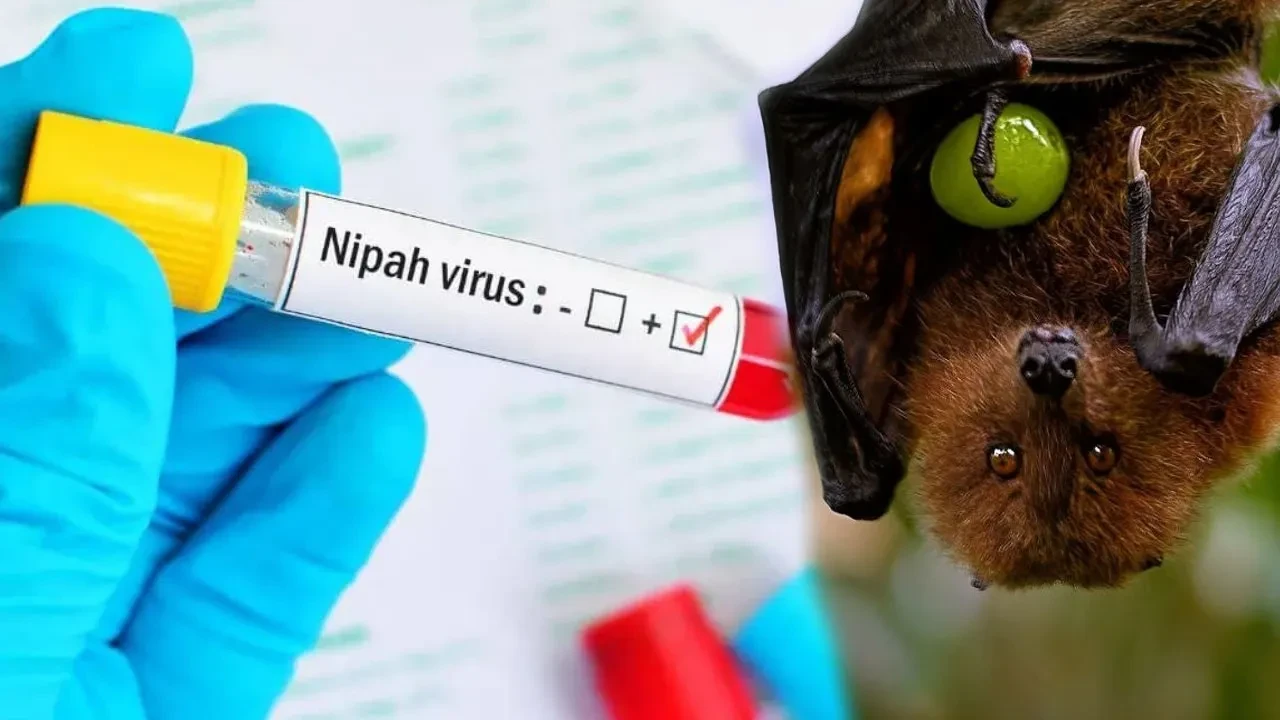 Yeni bir pandemi kapıda mı? Hindistan'da 100 kişi karantinaya alındı