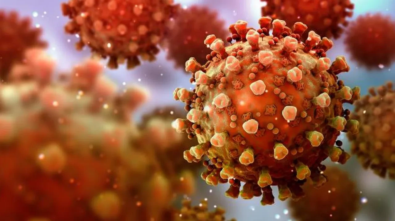 Yeni bir pandemi kapıda mı? Hindistan'da 100 kişi karantinaya alındı