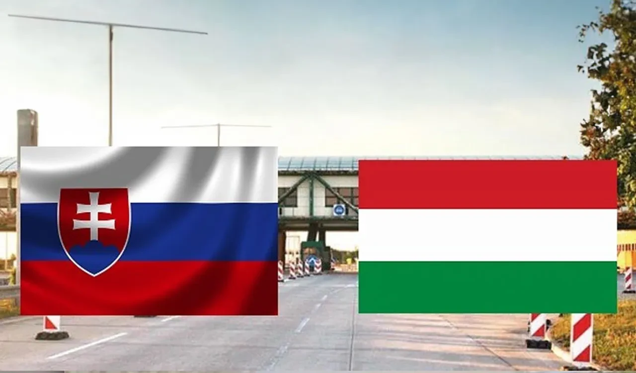 AB, Rusya'dan gaz ithalatını sonlandırıyor! İki ülkenin karara itirazı var