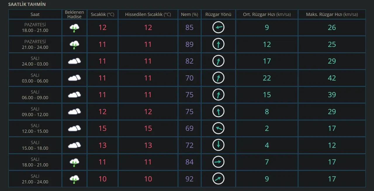 Kar ne zaman yağacak? MGM İstanbul, Ankara, Bursa, Diyarbakır’da kar yağışı bekliyor