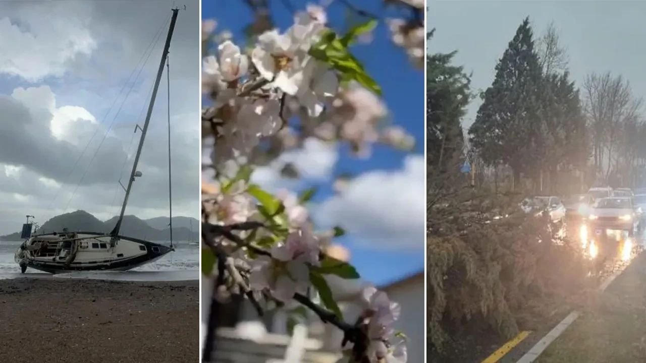 Muğla'da bir günde iki mevsim birden! Datça'da ağaçlar çiçek açtı Menteşe'de fırtına koptu