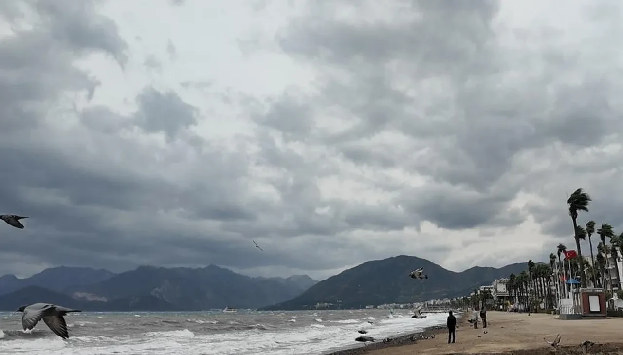 Muğla'da bir günde iki mevsim birden! Datça'da ağaçlar çiçek açtı Menteşe'de fırtına koptu