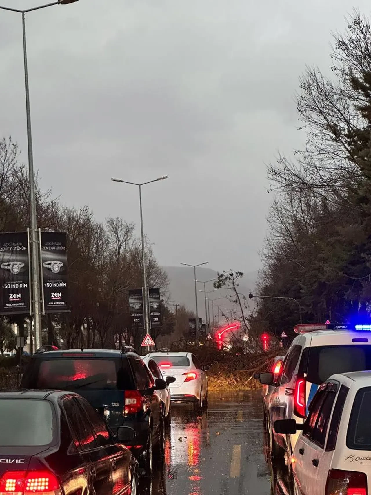 Muğla'da bir günde iki mevsim birden! Datça'da ağaçlar çiçek açtı Menteşe'de fırtına koptu