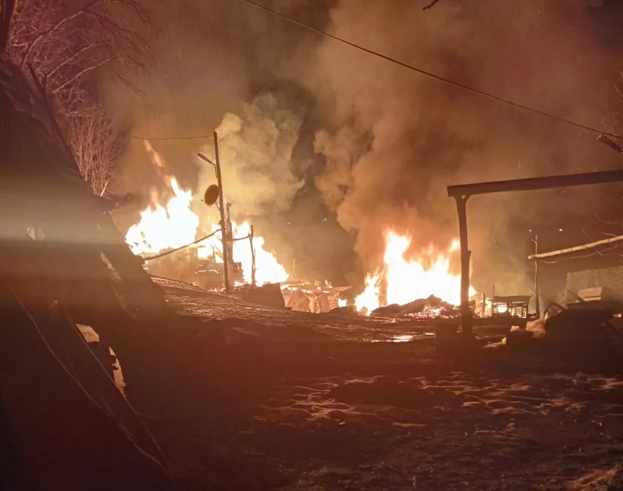 Ordu'da kan donduran olay! Yanan evin yanındaki ağaçta ölü bulundu