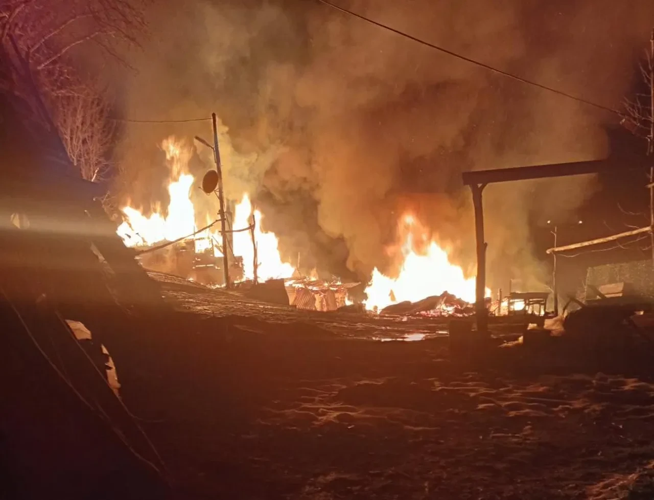 Ordu'da kan donduran olay! Yanan evin yanındaki ağaçta ölü bulundu