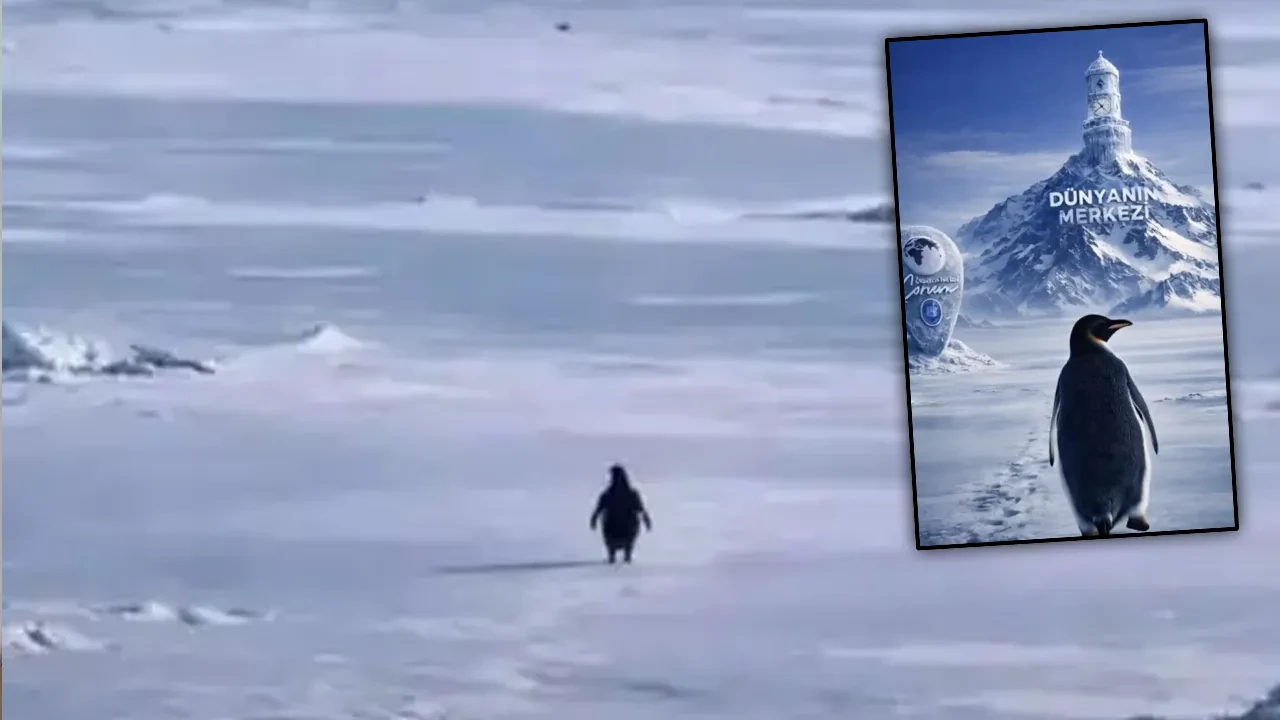 Sürüden ayrılan penguen Çorum'a geldi! Çorba içti, yöresel lezzetleri tattı