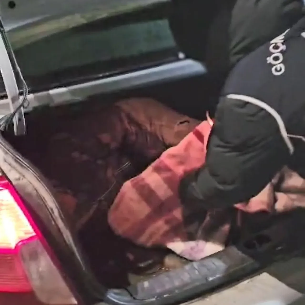 Aracın bagajından çıktılar! Düzensiz göçmenler takiple yakalandı