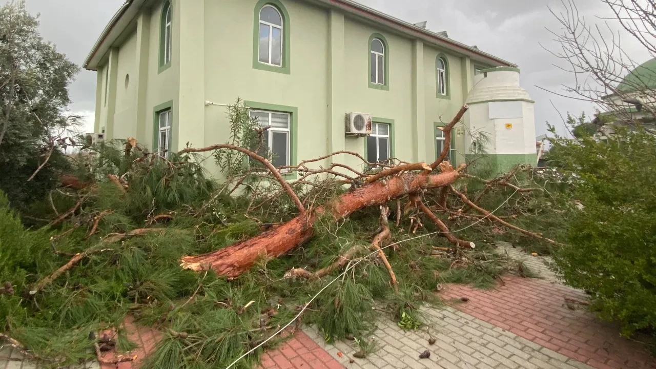 Manavgat'ı hortum vurdu! Evlerin çatıları uçtu, ağaçlar kökünden söküldü