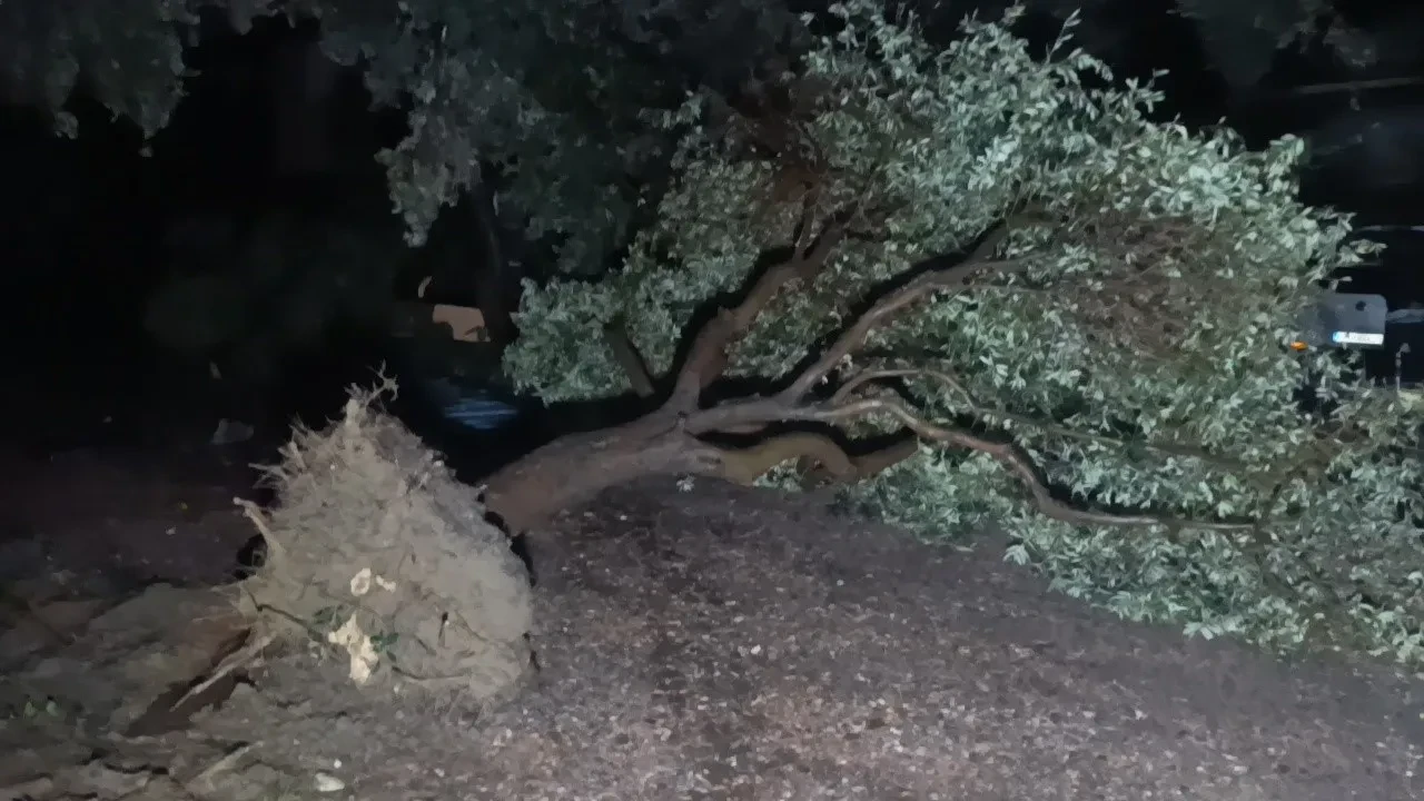 Manavgat'ı hortum vurdu! Evlerin çatıları uçtu, ağaçlar kökünden söküldü