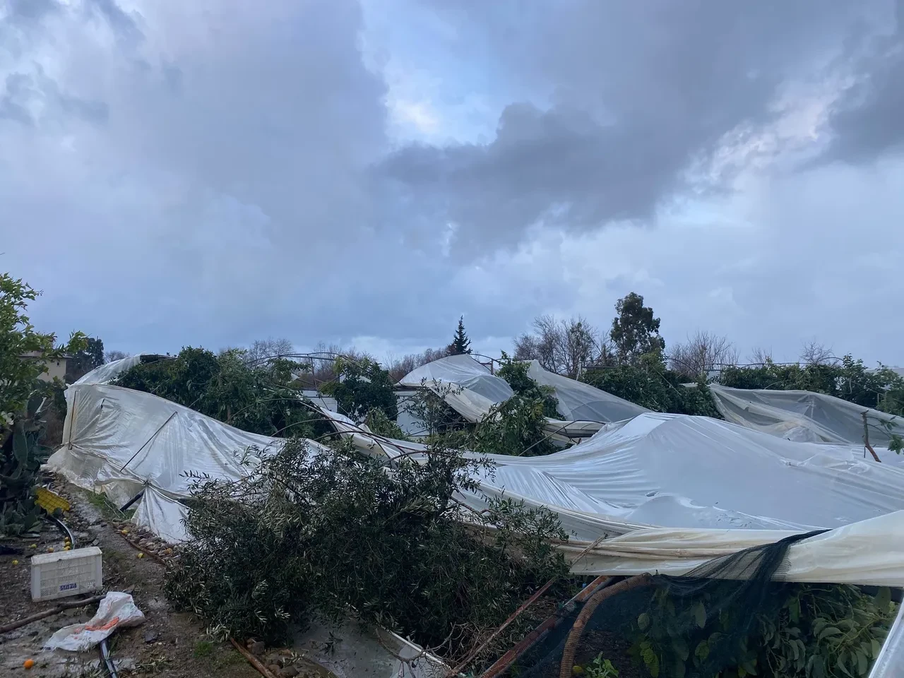 Manavgat'ı hortum vurdu! Evlerin çatıları uçtu, ağaçlar kökünden söküldü