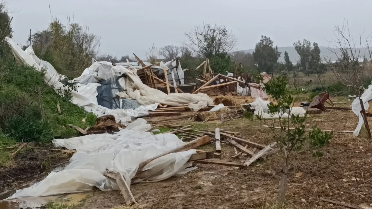 Manavgat'ta hortum 300 dönümlük alanda seraları yerle bir etti