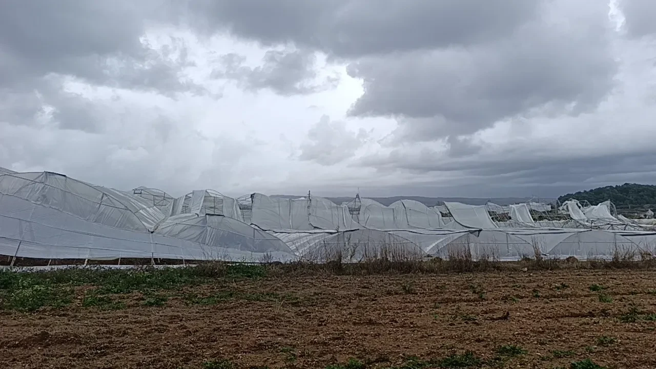 Manavgat'ta hortum 300 dönümlük alanda seraları yerle bir etti