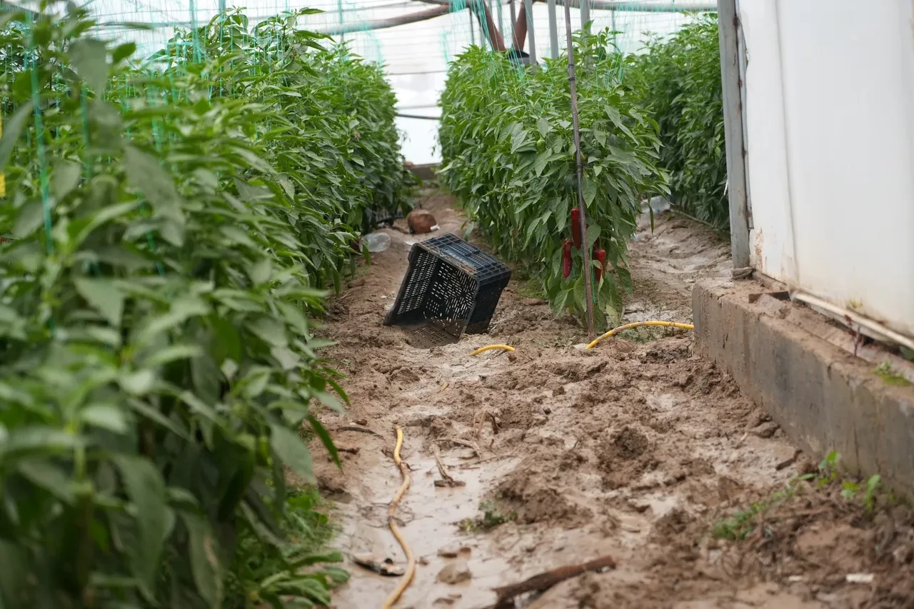 Milyonluk tekneler paramparça oldu! Aksu'da sel ve hortum yıktı geçti