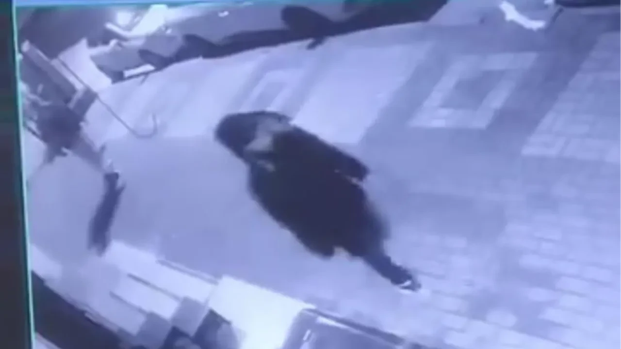 Otomobillere zarar verip, hiçbir şey olmamış gibi gittiler