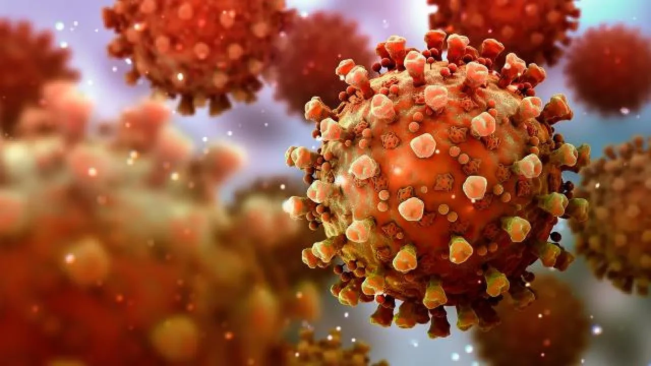 Sıradaki Pandemi Nipah Virüsü mü? Bu virüsün tedavisi yok: Korunma hayati önem taşıyor!