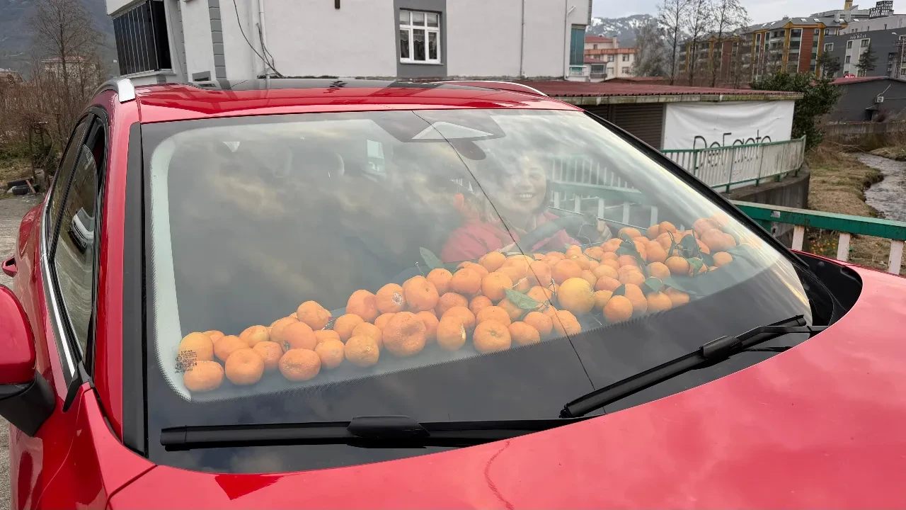 Adana değil Artvin! Mandalina hasadında poşetler yetmeyince çareyi arabanın torpidosunda buldular