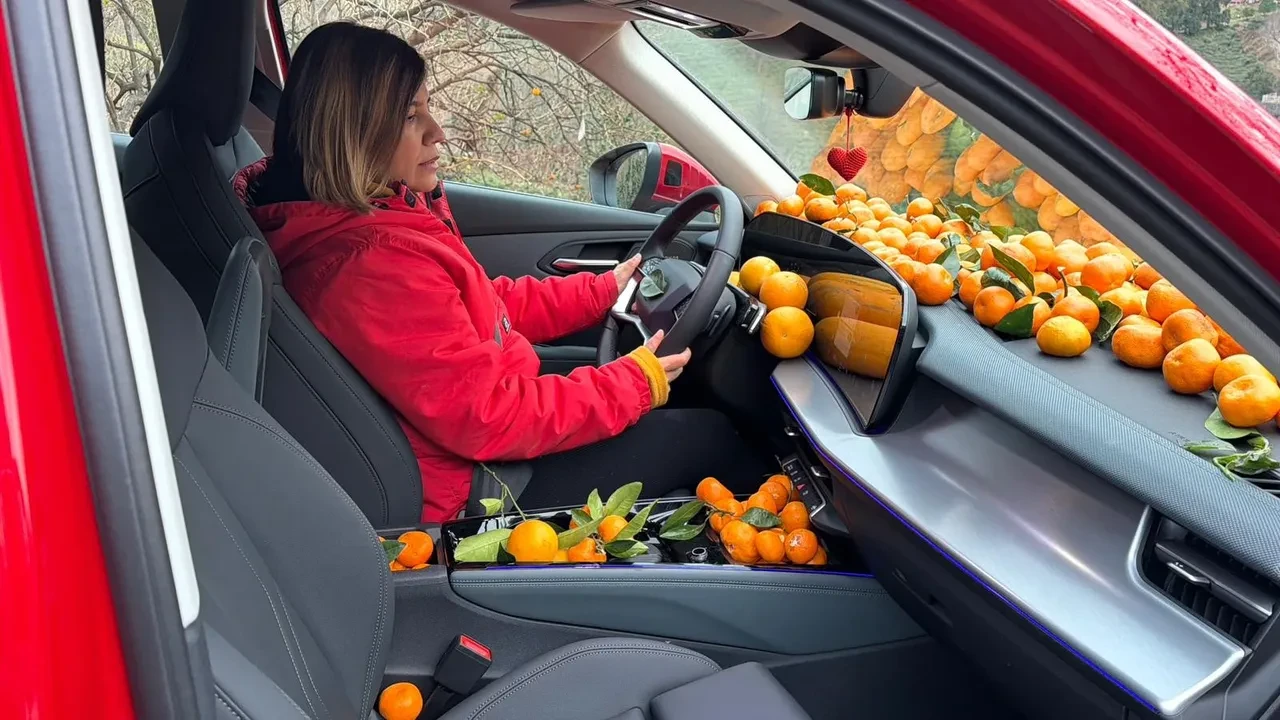 Adana değil Artvin! Mandalina hasadında poşetler yetmeyince çareyi arabanın torpidosunda buldular