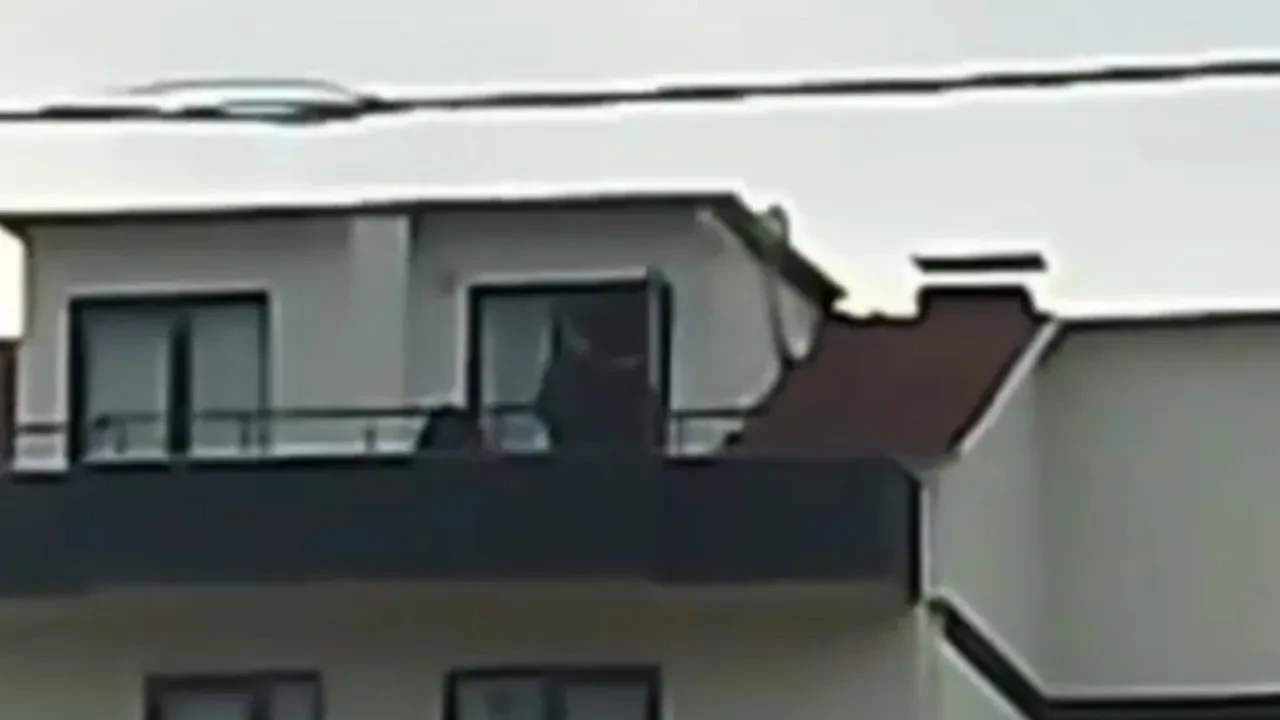 FETÖ'cü saklandığı çatıda yakalandı