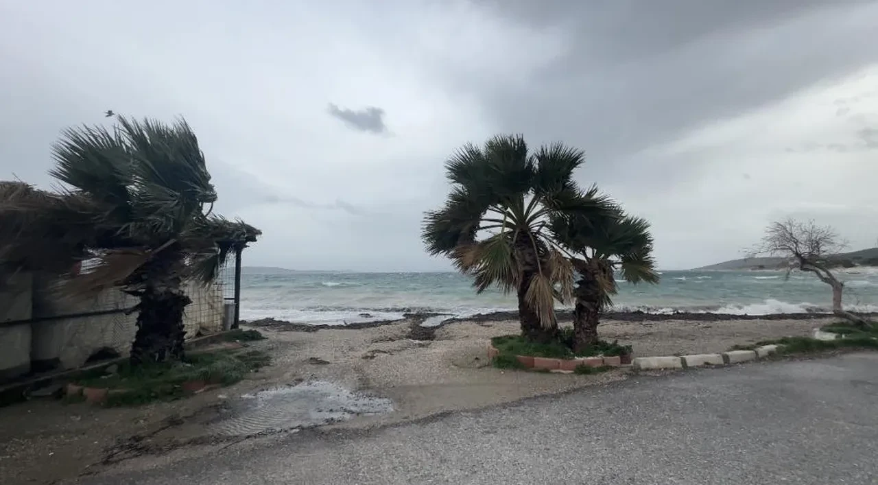 Ege Denizi'nde dev dalgalar! Fırtına Karaburun'da tekneleri batırdı Bodrum'da seferler iptal etti