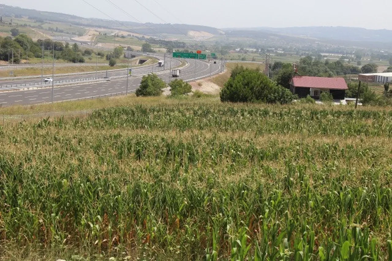 Kentsel Dönüşüm Başkanlığı’ndan kaçırılmayacak fırsat! 440 arsa 24 ay vade ile satışa çıkıyor: Peşin ödeyene yüzde 20 indirim