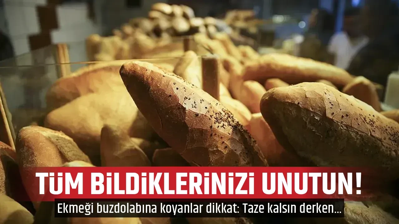 TÜM BİLDİKLERİNİZİ UNUTUN!