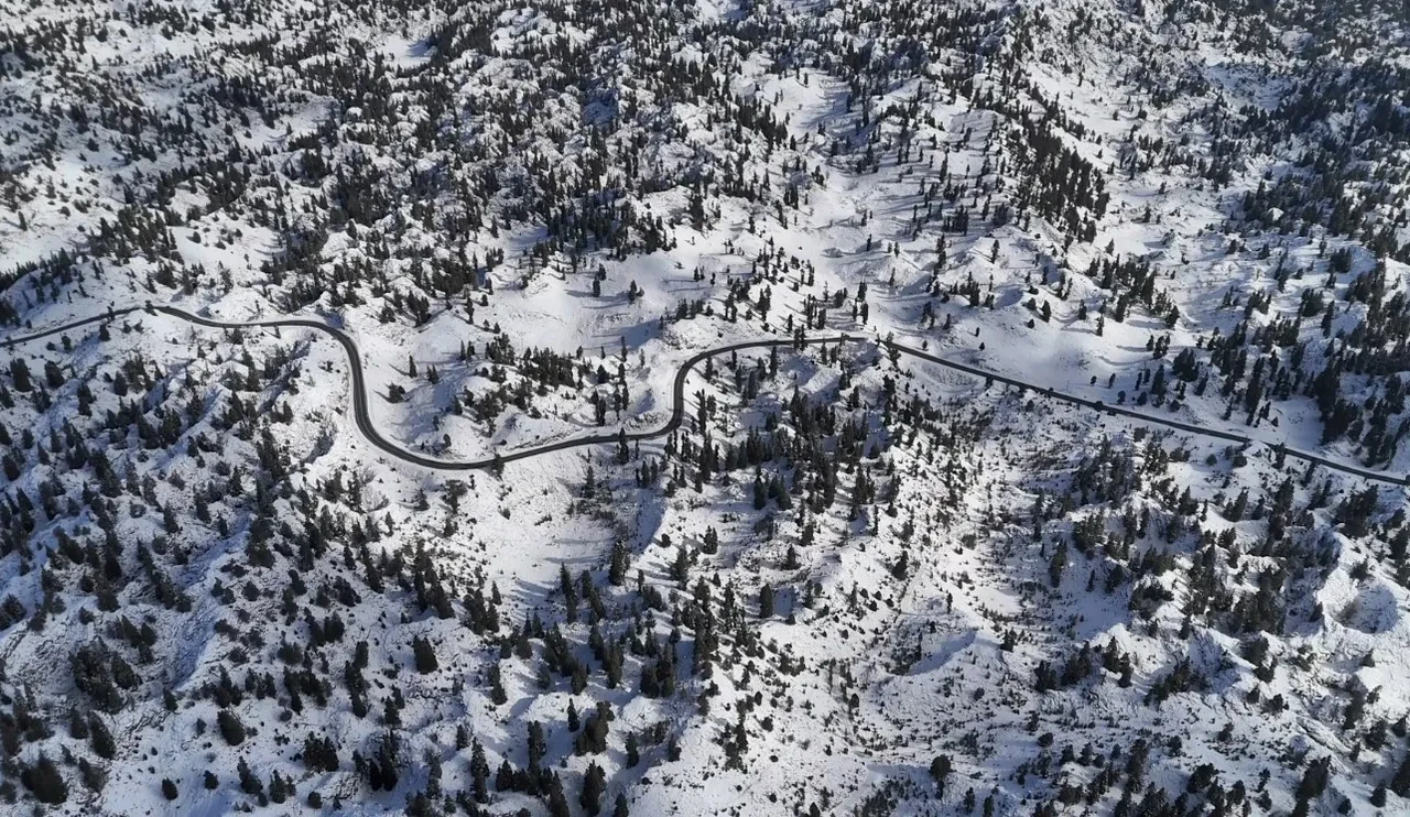 Mersin'de ormanlar karla kaplandı! İşte karpostallık görüntüler