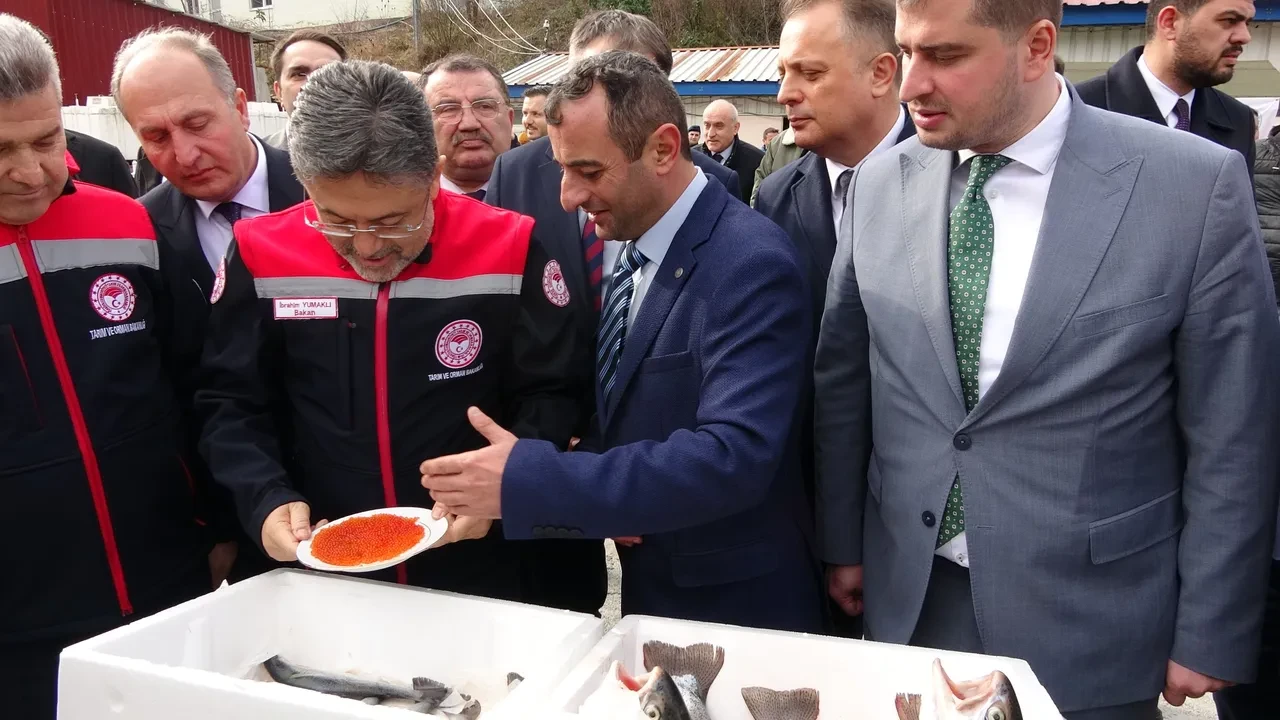 Bakan Yumaklı: Türk somonu ihracatı 500 milyon dolara ulaştı