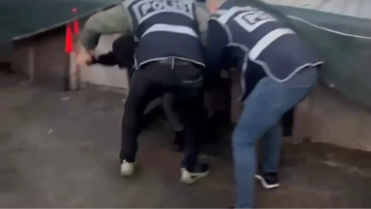 Kümesten gelen öksürük sesi her şeyi ortaya çıkardı! Ekipler tavukların arasından aldı 