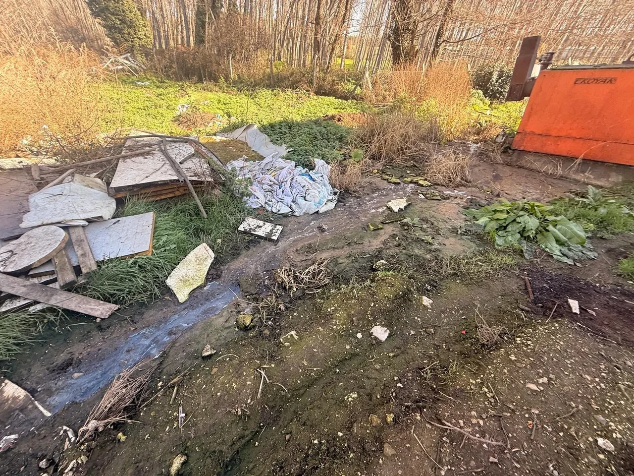 Sakarya'da skandal: Tavuk çiftliğinde ölümler başladı, biyogüvenlik kısıtlaması getirildi