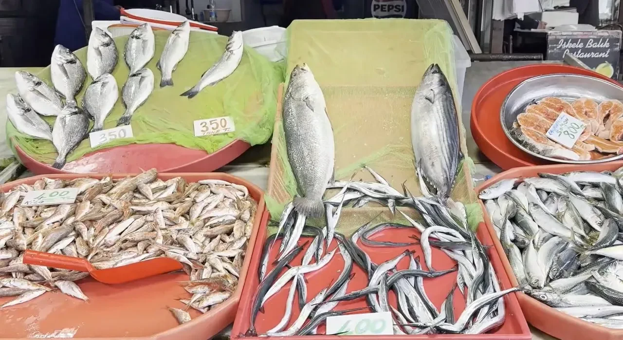 Balık fiyatları bu defa üzdü: Balıkçıların gözü hava durumunda