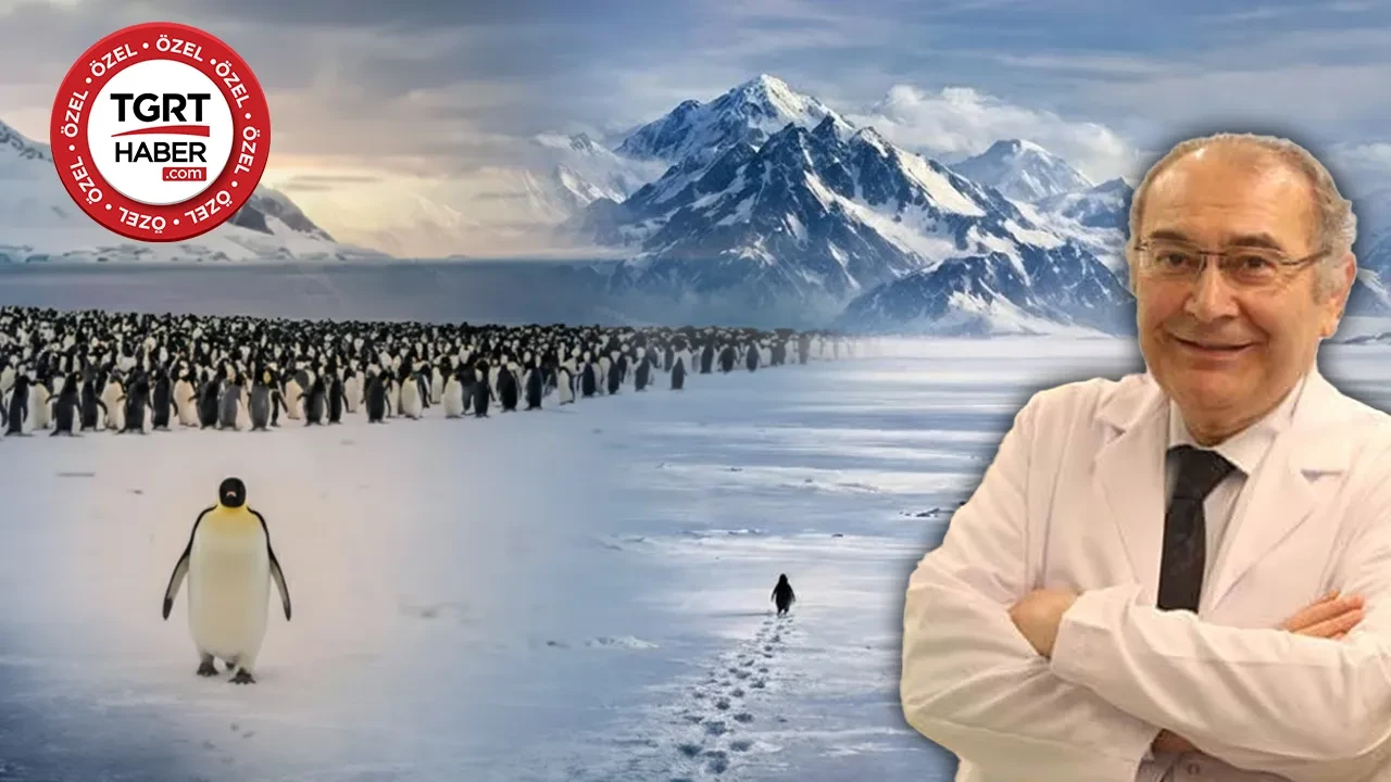 Sosyal medyayı sallayan Nihilist Penguen sadece bir video mu? Prof. Dr. Nevzat Tarhan'dan çarpıcı yorum: Bu bir başkaldırıdır