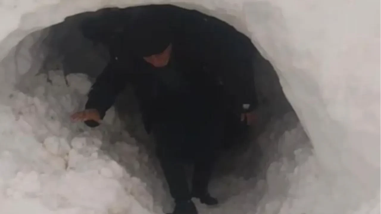 Ahır kar kütlesinin altında kaldı, besici içeriye tünel açarak girdi