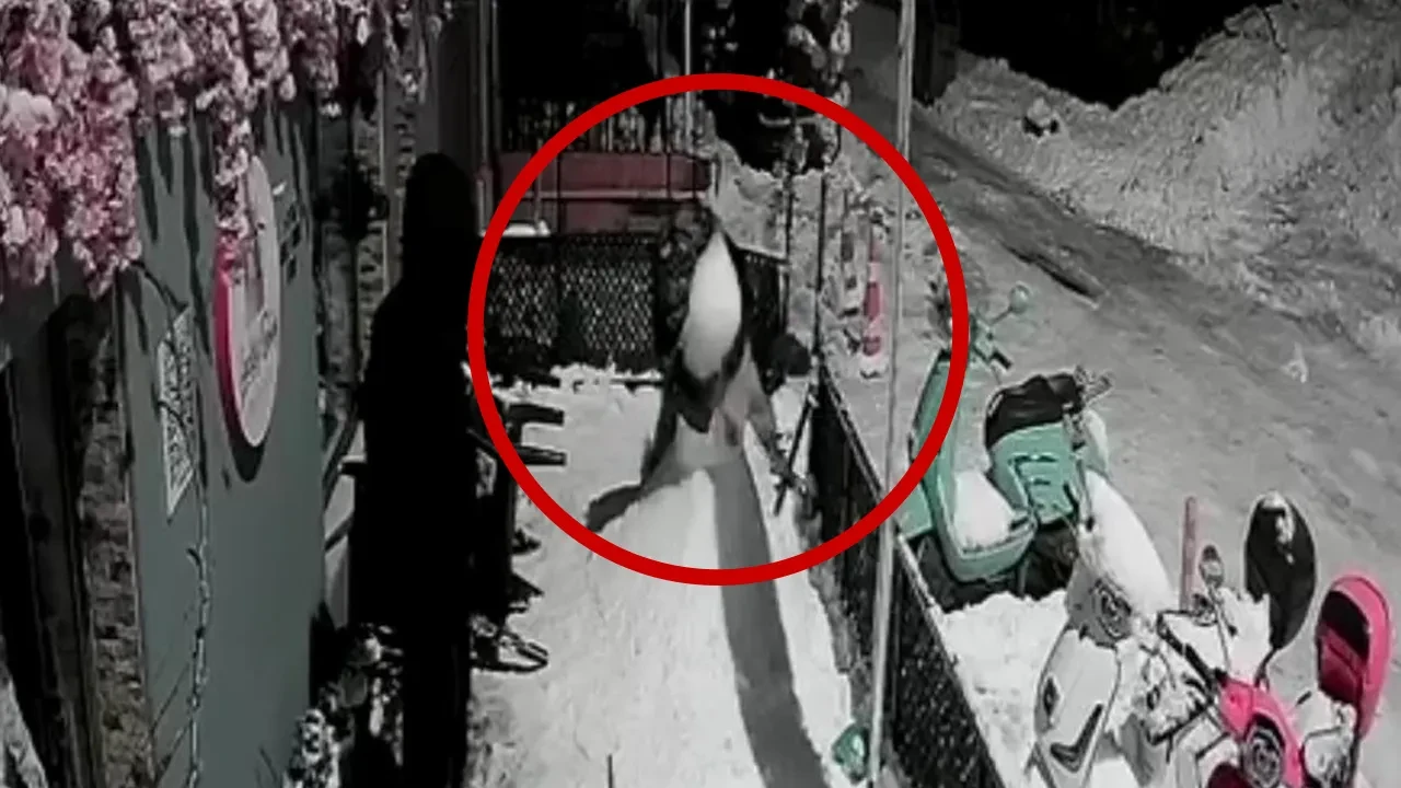 Böylesi ne görüldü ne duyuldu! Kardan adamı tacizle suçlayıp paramparça ettiler 