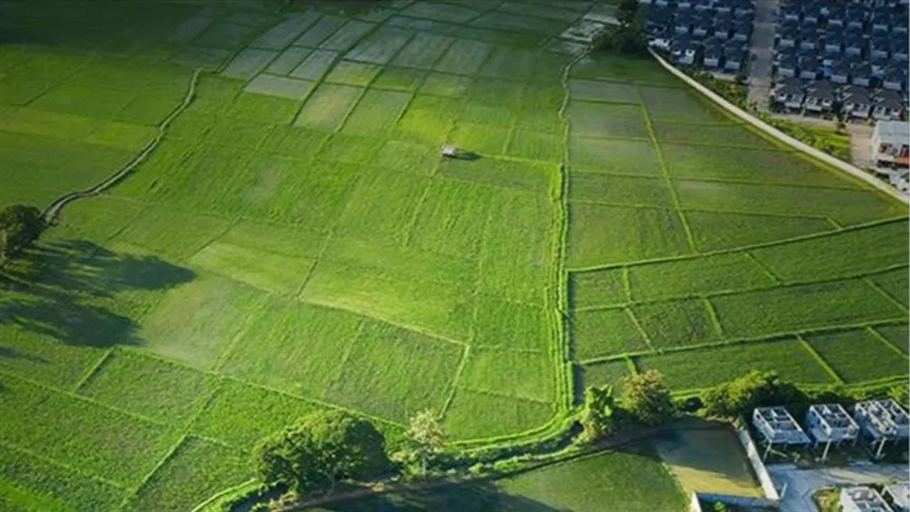 Kazandıran ilçeler belli oldu: Türkiye’nin arsa yatırım haritasında dikkat çeken detay
