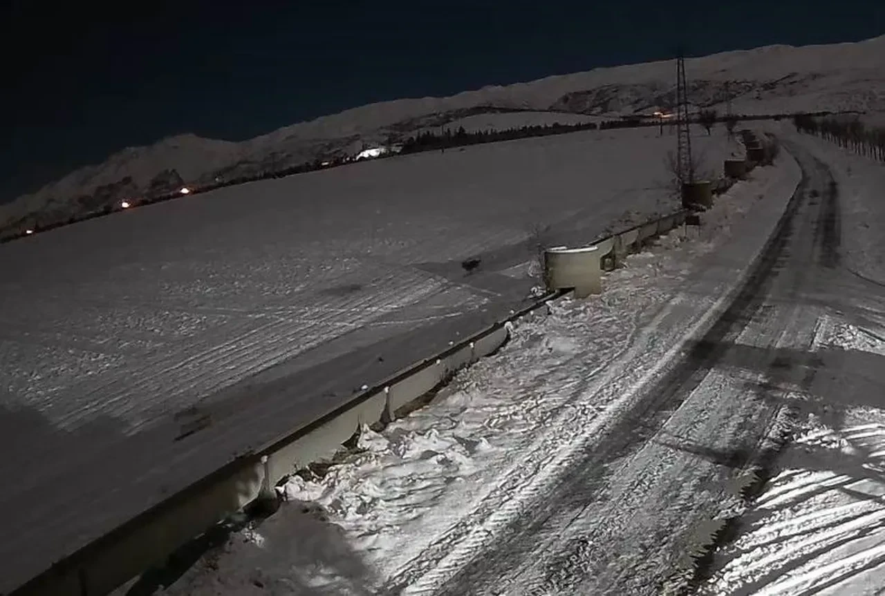 Kurt sürüsü şehre indi! Ürküten anlar kamerada