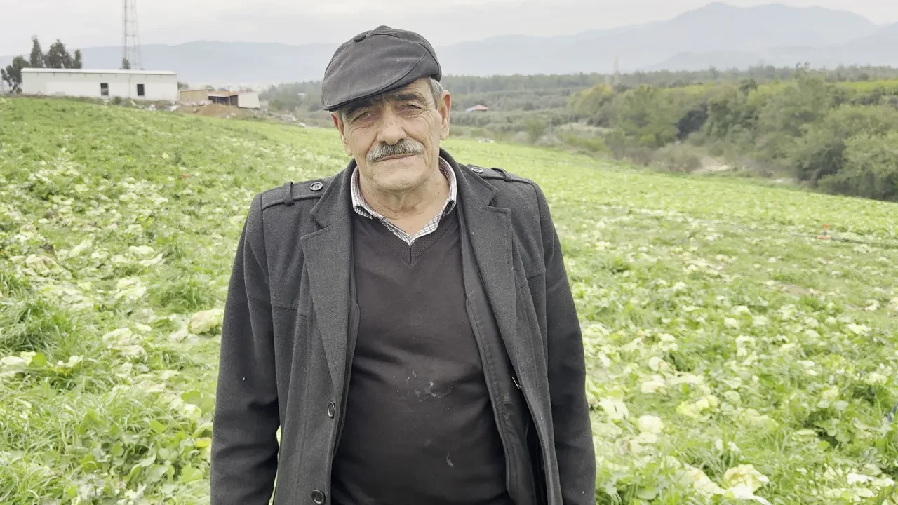 Para etmeyince bedava dağıttı! Çuvallarla tarlaya gelip ne var ne yok topladılar