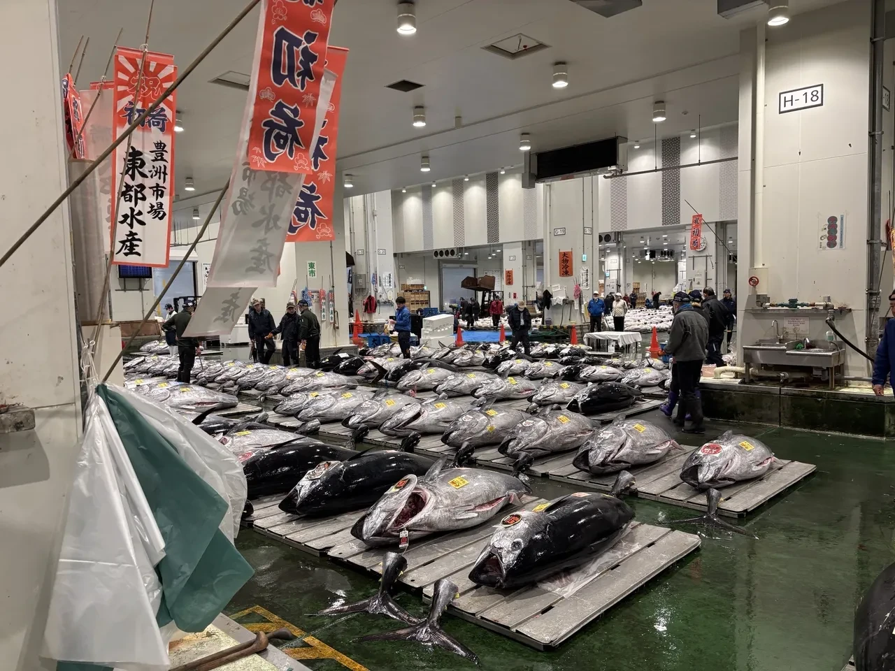 Dev orkinosun satış bedeli dudak uçuklattı