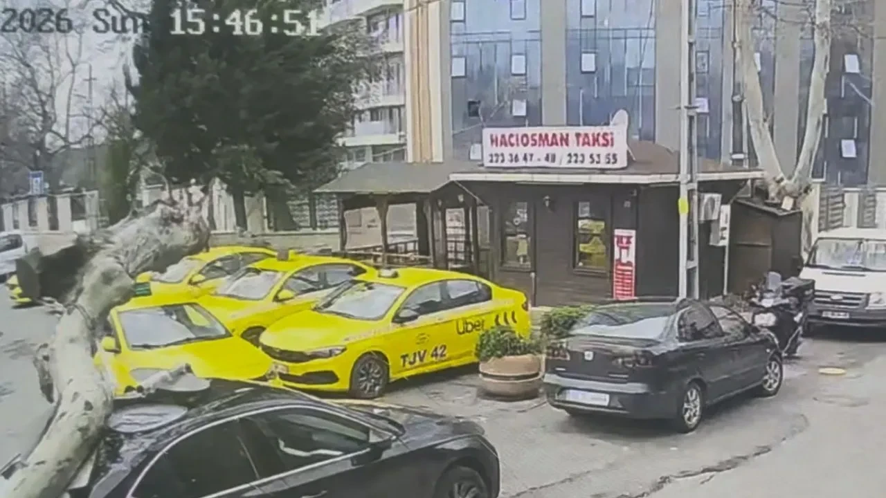 İstanbul'da kuvvetli lodos etkisi sürüyor: Çınar ağacı aracın üzerine devrildi