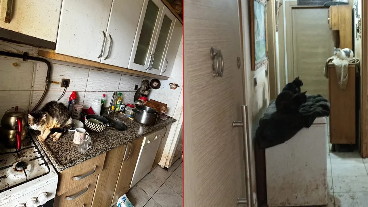 Kokuyor diye şikayet ettiler! Kapı açılınca gördükleri manzara şoke etti