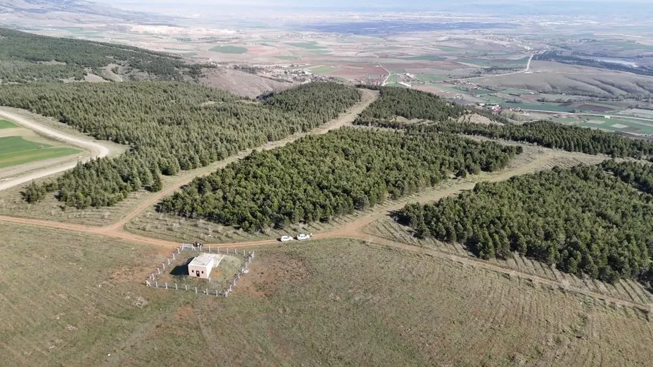 Önce boğdu, sonra cesedini 2 gün boyunca benzin döküp yaktı! Vahşette kan donduran ifadeler