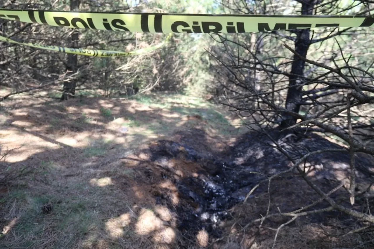 Önce boğdu, sonra cesedini 2 gün boyunca benzin döküp yaktı! Vahşette kan donduran ifadeler