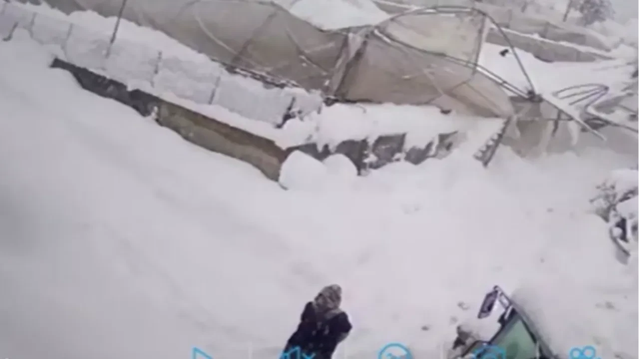 Seralar saniyeler içinde yerle bir oldu! Kar yığını arasında can pazarı kameralara yansıdı