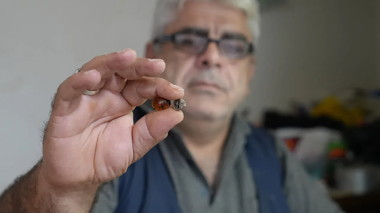 Bayburtlu usta kehribar işlerken şoke oldu! Milyonlarca yıllık keşif: Yeni canlı türü ortaya çıktı