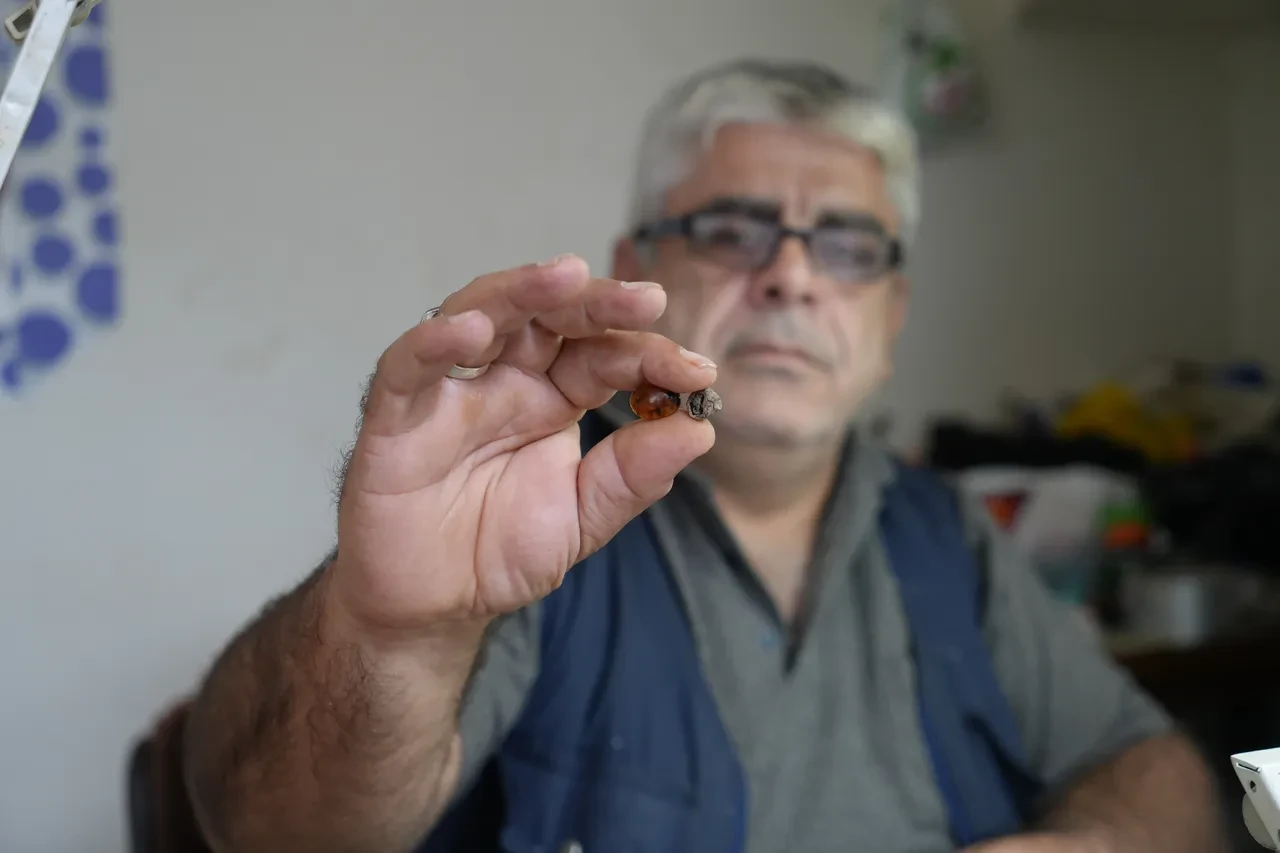 Bayburtlu usta kehribar işlerken şoke oldu! Milyonlarca yıllık keşif: Yeni canlı türü ortaya çıktı