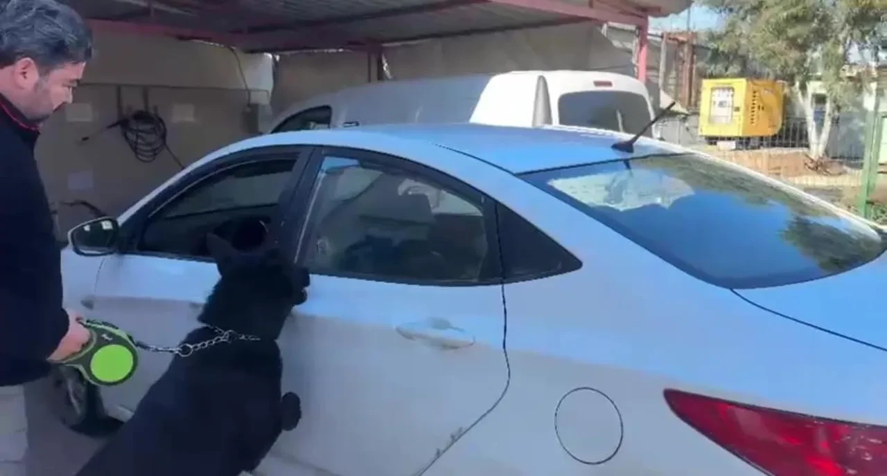 Binlerce uyuşturucu hapla yakalanan şahsın savunması şoke etti